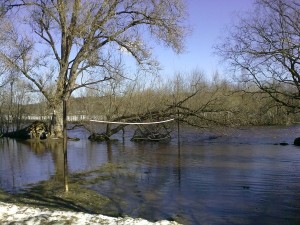 Võidula võrkpall